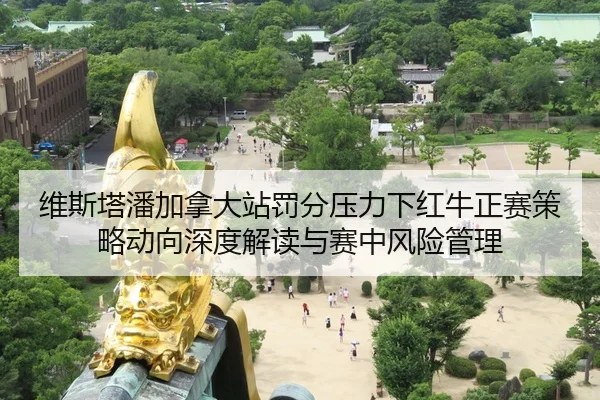 维斯塔潘加拿大站罚分压力下红牛正赛策略动向深度解读与赛中风险管理